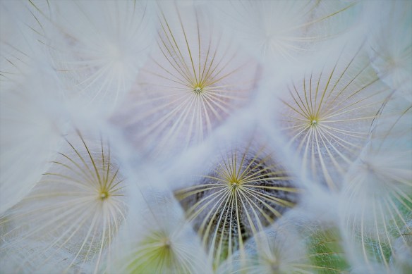 coordination image3.jpg