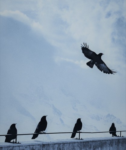 responding image1.jpg